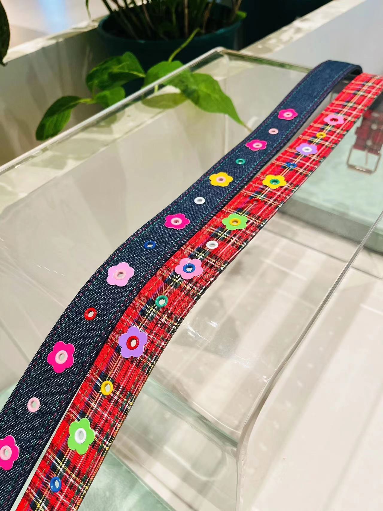 Dopamine Belt
